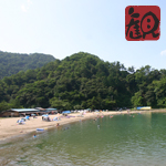 観光情報